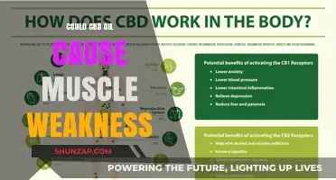 CBD Oil and Muscle Weakness: What's the Link?