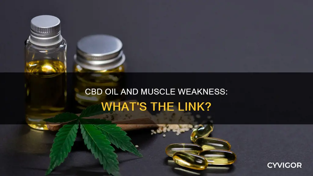 could cbd oil cause muscle weakness