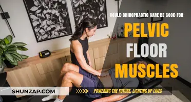 Chiropractic Care and Pelvic Floor Health: Unlocking Potential Benefits
