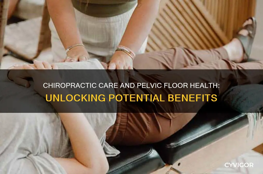 could chiropractic care be good for pelvic floor muscles