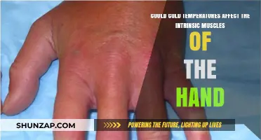 Chilling Insights: How Cold Temps Impact Hand Muscles