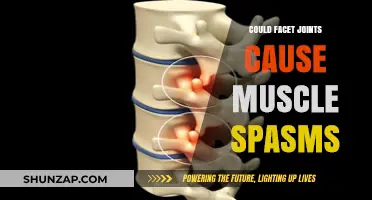 Facet Joints and Muscle Spasms: What's the Connection?