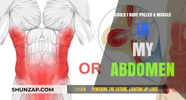 Pulled Abdominal Muscle: Symptoms, Causes, and Recovery Tips