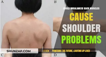 Back Muscle Imbalance: A Shoulder Problem Culprit?