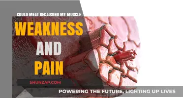 Is Your Meat Consumption Linked to Muscle Weakness and Pain?