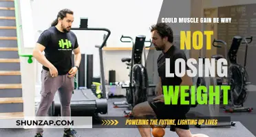 Muscle Gain vs. Weight Loss: Why the Scale Isn't Budging