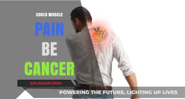 Muscle Pain and Cancer: Understanding the Potential Link and Risks
