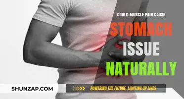 Muscle Pain: Its Link to Stomach Issues and Natural Relief