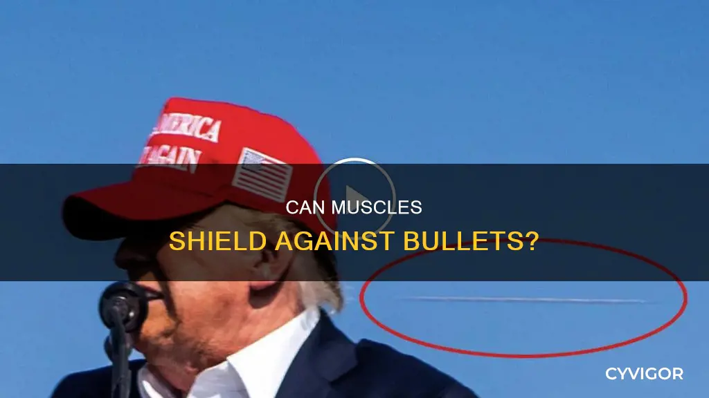 could muscle stop a bullet