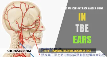 Back Muscle Strain: A Surprising Cause of Tinnitus