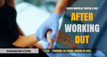 Post-Workout Muscle Twitching: Causes and Remedies Explained