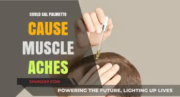 Palmetto Perils: Muscle Aches and Potential Risks