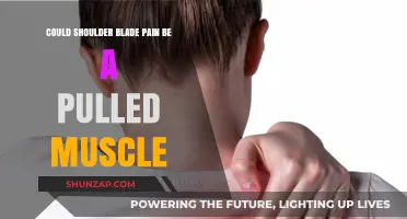 Shoulder Blade Pain: Pulled Muscle or Something More Serious?