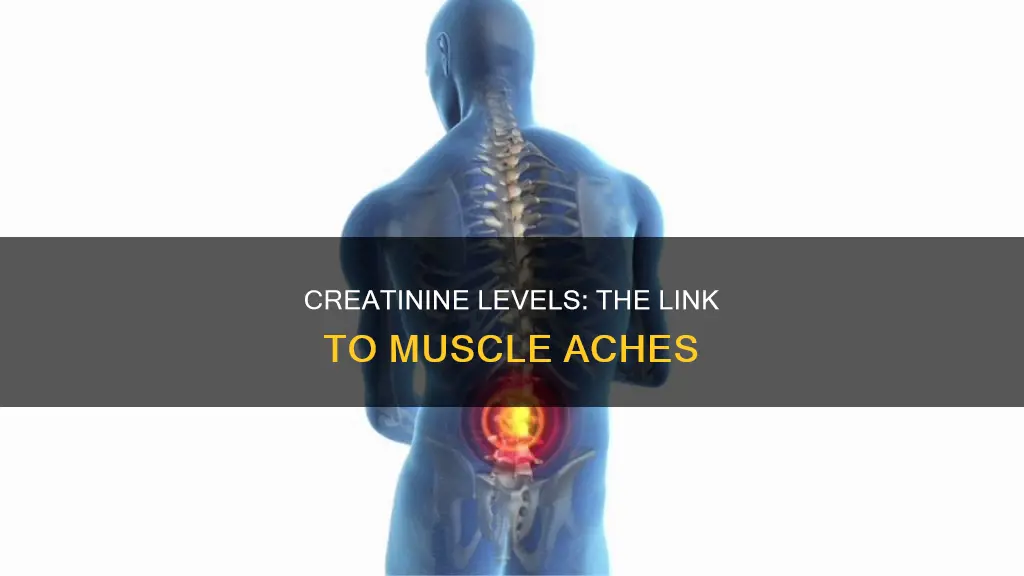 could slightly higher creatinine cause muscle aches all over