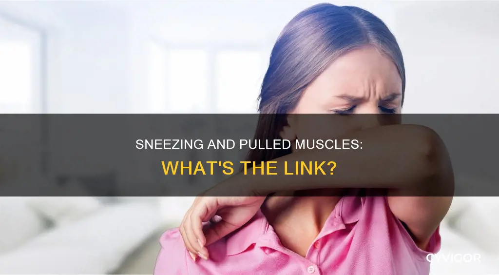 could sneezing cause a pulled muscle