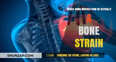 Muscle Pain or Bone Strain? Understanding the Hidden Connection