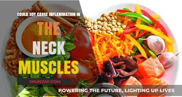Soy and Neck Muscle Inflammation: Is There a Link?