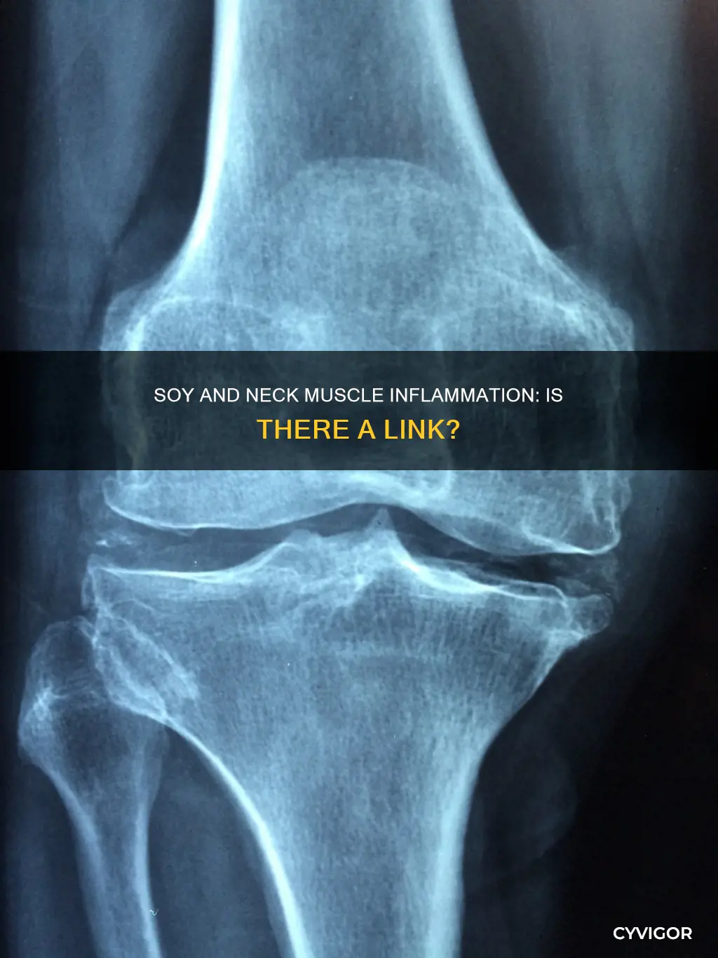 could soy cause inflammation in the neck muscles