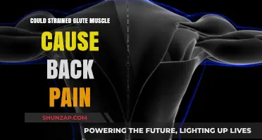 Glute Muscle Strain: A Cause of Back Pain?