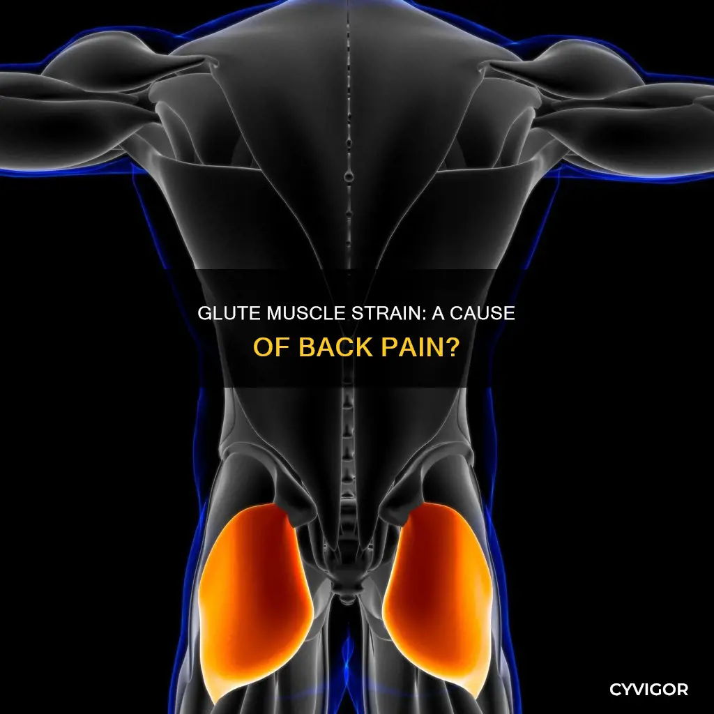 could strained glute muscle cause back pain