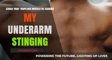Trapezius Muscle and Underarm Stinging: What's the Link?