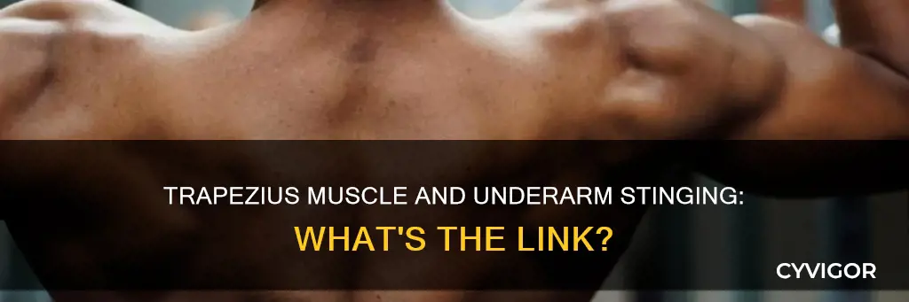 could tight trapezius muscle be causing my underarm stinging