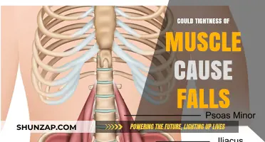 Muscle Tightness: A Fall Risk Factor?