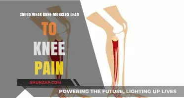 Weak Knee Muscles: A Hidden Cause of Persistent Knee Pain?