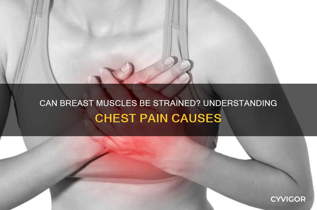 could you pull a muscle in your breast