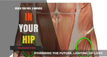 Hip Muscle Strains: Causes, Symptoms, and Recovery Tips Explained