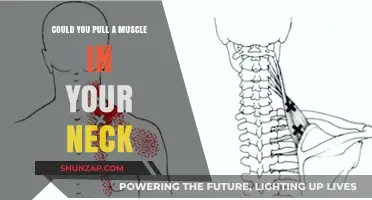 Neck Muscle Strains: Causes, Symptoms, and Effective Recovery Tips
