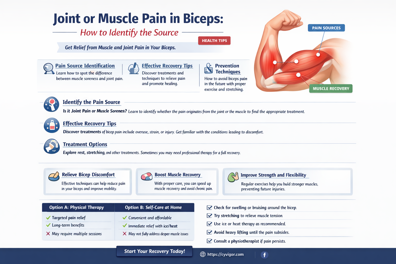 am i feeling joint or muscle pain in my biceps