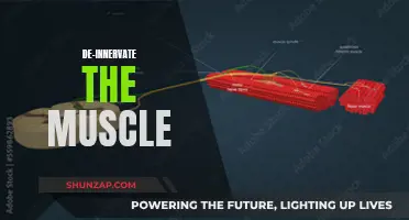 Understanding Muscle Paralysis: De-innervating Muscles, Causes, and Effects