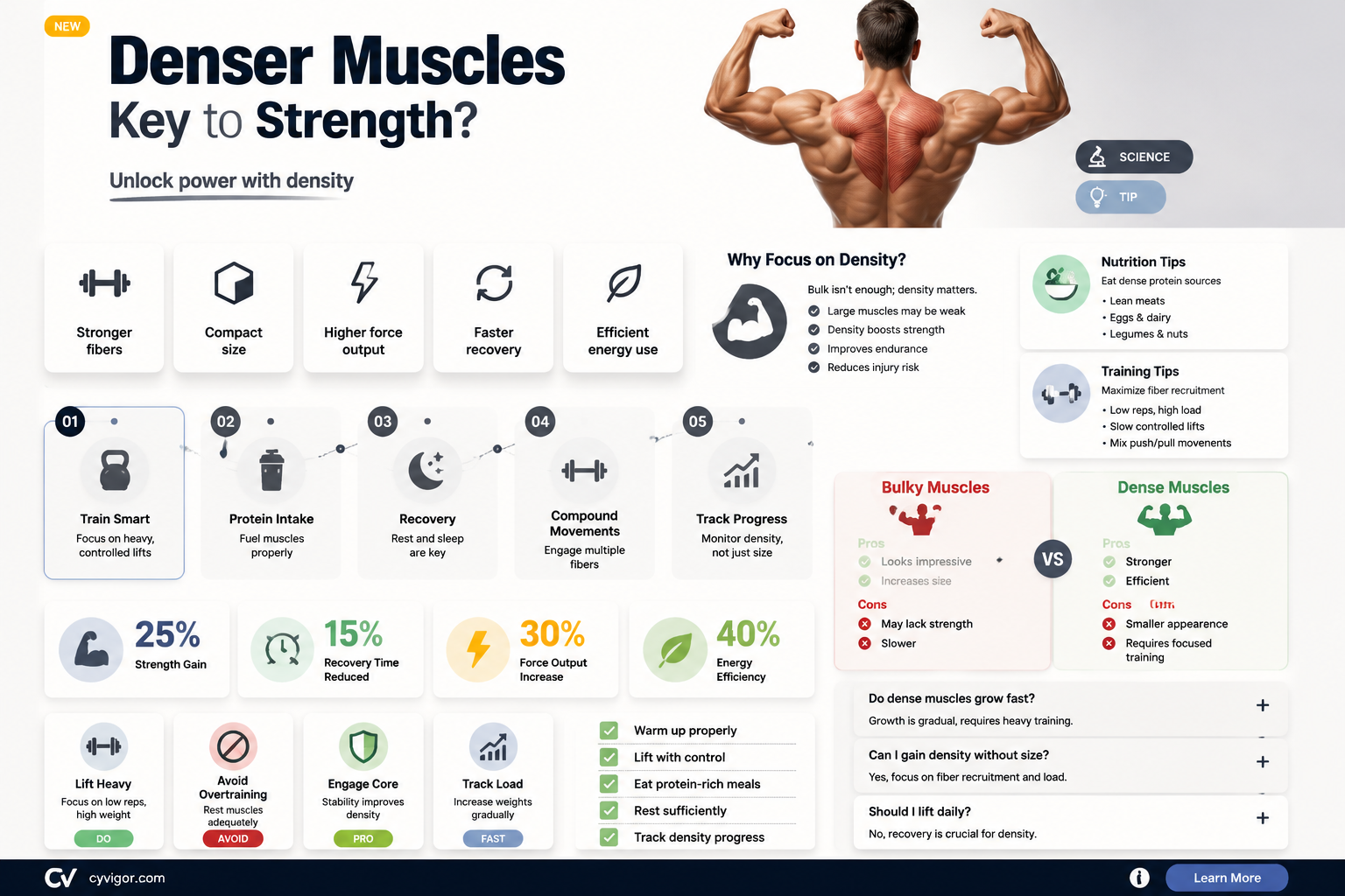 are denser muscles stronger