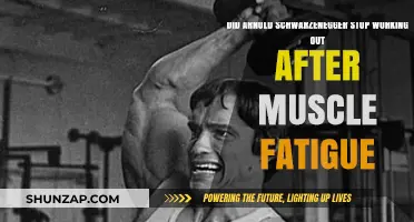 Arnold Schwarzenegger's Workout Routine: Did Muscle Fatigue End His Training?