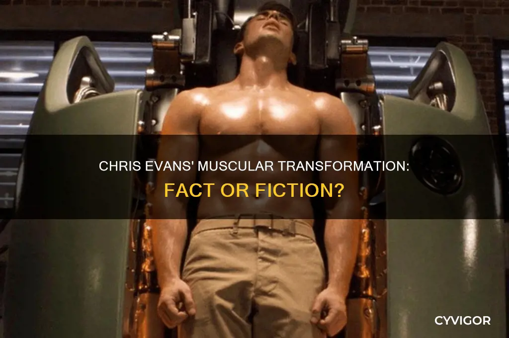 did chris evans actually gain the muscl