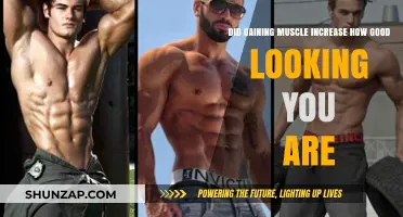 Muscle Gain and Attractiveness: Does Building Muscle Enhance Your Looks?