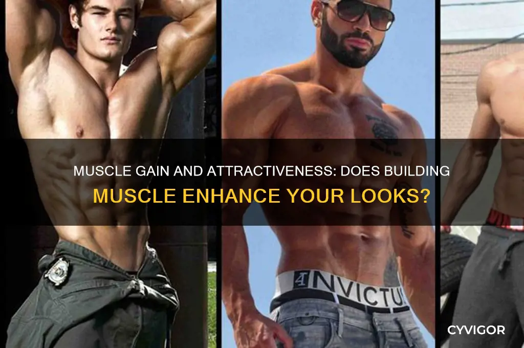 did gaining muscle increase how good looking you are