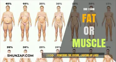 Fat or Muscle: Decoding Your Body Composition Changes