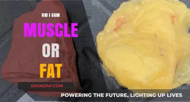 Muscle or Fat Gain: Decoding Your Body Composition Changes