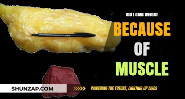 Muscle Gain vs. Weight Gain: Understanding Your Body's Transformation