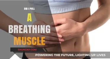Did I Pull a Breathing Muscle? Understanding Intercostal Strain Symptoms and Relief