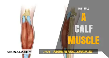 Did I Pull a Calf Muscle? Symptoms, Causes, and Recovery Tips