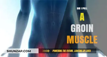 Did I Pull a Groin Muscle? Symptoms, Causes, and Recovery Tips