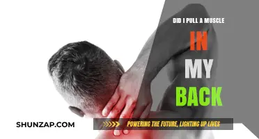 Back Pain: How to Tell If You've Pulled a Muscle
