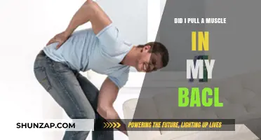 Did I Pull a Muscle in My Back? Symptoms, Causes, and Relief Tips