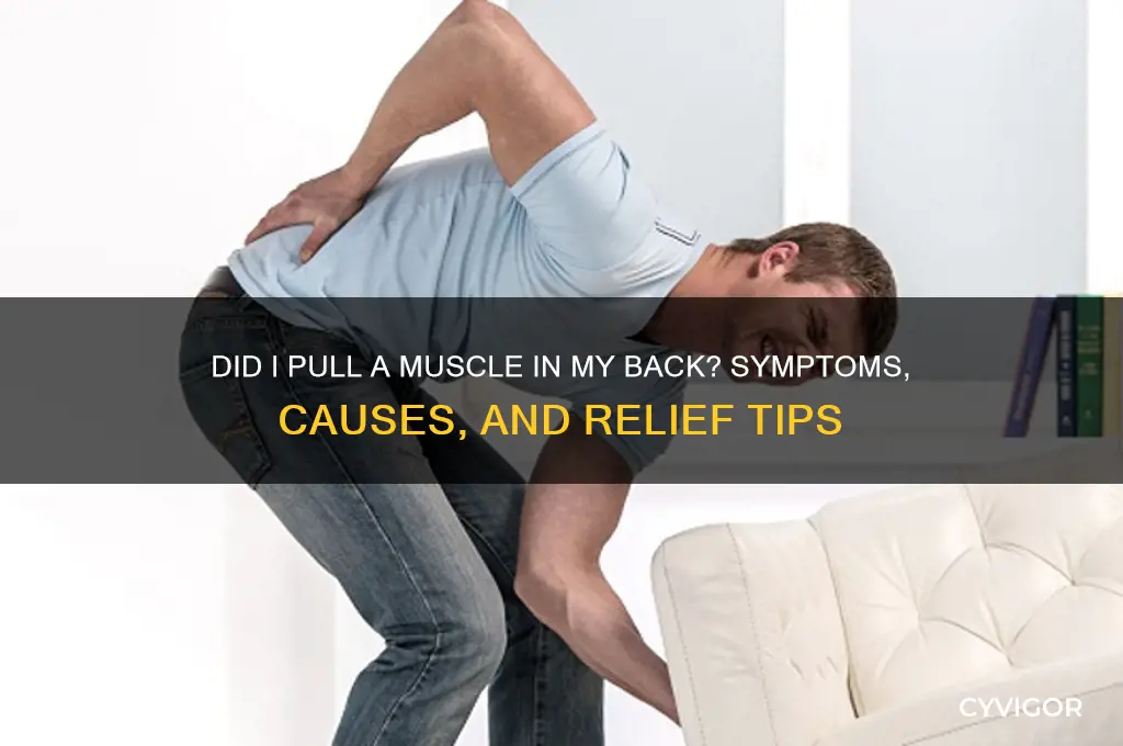 did i pull a muscle in my bacl