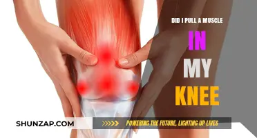 Did I Pull a Muscle in My Knee? Symptoms and Solutions