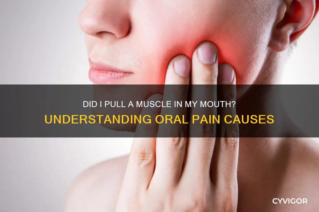 Did I Pull A Muscle In My Mouth? Understanding Oral Pain Causes | CyVigor