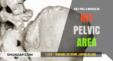 Pelvic Pain: Understanding Muscle Strains and Potential Causes